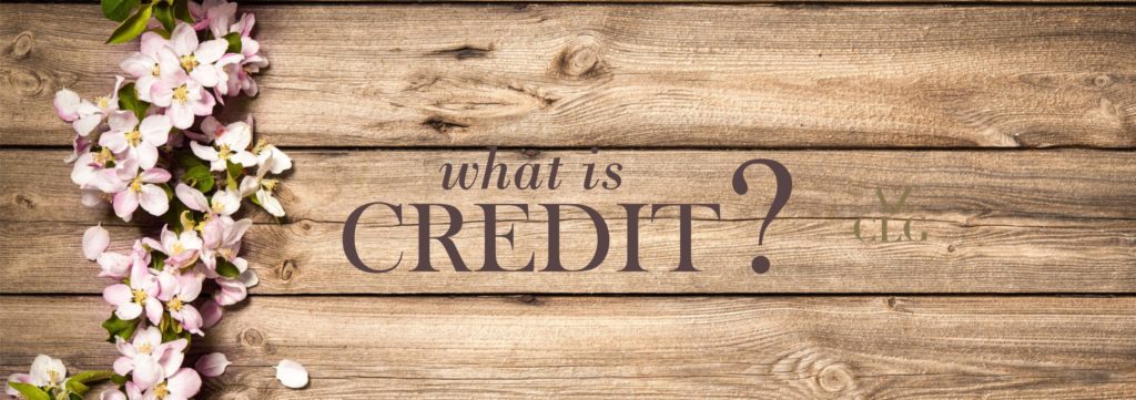 Credit is complicated, and we love talking about it so here is a quick-ish overview.